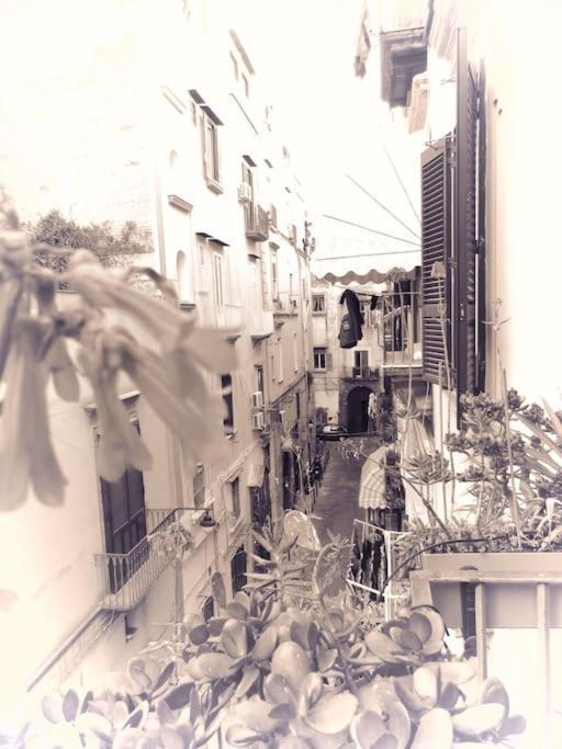 Apartment 4p Casa