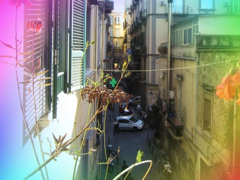 Apartment 4p Casa Naples