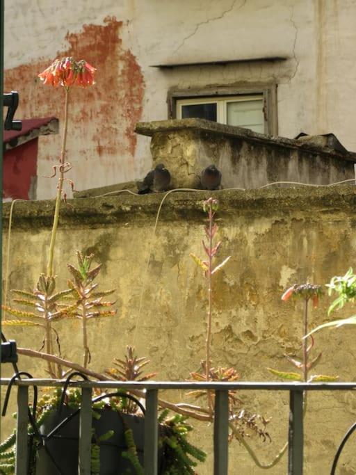 4p Casa Apartment Naples